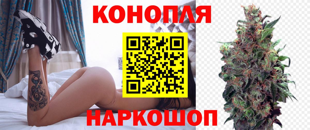 Бошки Шишки планчик  Каннабис план  МАРИХУАНА ГИДРОПОН  Каннабис конопля  Коломна  Вход с VPN 